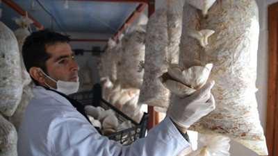 Kahvehaneyi "mantarhane"ye dönüştürdü