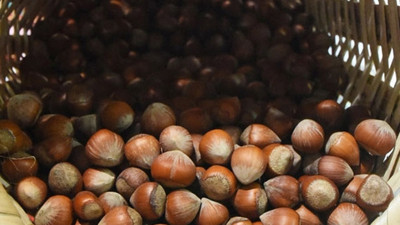 Fındıkta 'arz açmazı'