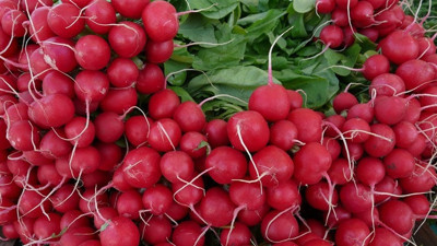 5 bin aileyi istihdam eden ürün tescil yolunda