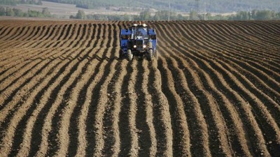 Bakliyat ekim alanı 1990'dan beri yüzde 65 azaldı