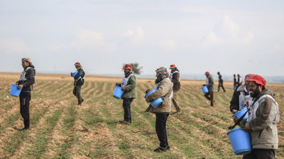 Gazze sınır şeridinde 12 yıl aradan sonra ekim
