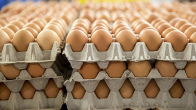 TSK'nın organik ürün talebi karşılanabilecek mi?