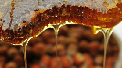 Balda coğrafi işaret çalışmaları