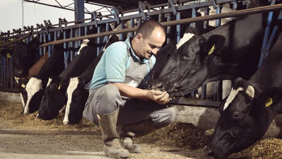 Hayvancılıkta modernizasyon yatırımına yüzde 50 hibe