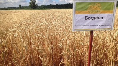 İhracata yasak getirmeye hazırlanıyor