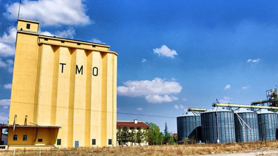 TMO mısır alımına başlıyor