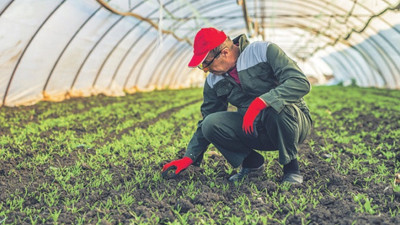 Üretim maliyeti arttı, seracılar darboğaza girdi