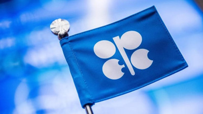 OPEC'in petrol üretimi arttı, payı aynı kaldı