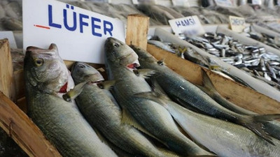 Balıkların lezzet şampiyonu