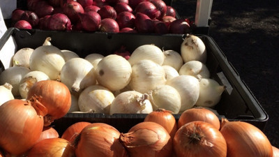 Soğan fiyatları ucuzladı