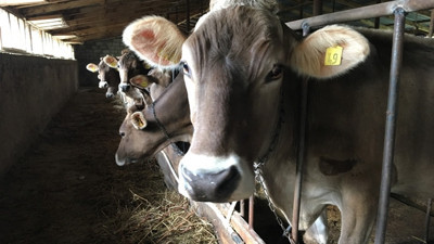 Tarımsal kredilerde bir ilk