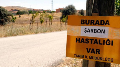 Trabzon'da şarbon şüphesi