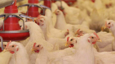 TKDK'den yatırımcıya 5 milyar lira hibe