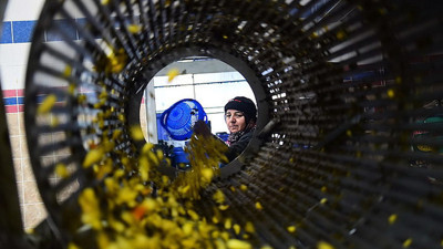 Üç kuşaktır turşu kuran köy göç vermiyor