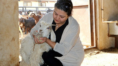 TKDK'den yatırımcıya 5 milyar lira hibe