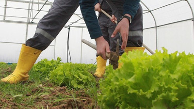 87 milyon euroluk hibeye başvurular başladı