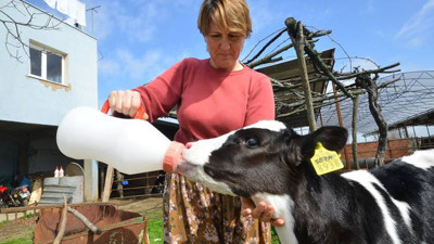 İzmir, tarımda ithalata alternatif model yarattı