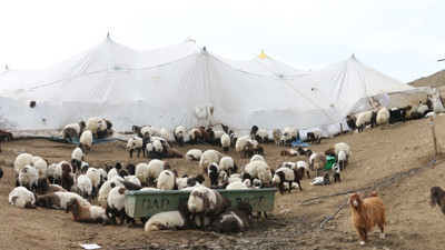 Güneydoğu'da köyler yeniden canlanacak