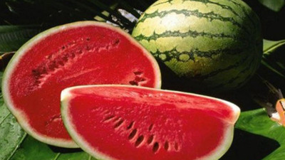 Karpuz üreticisi bu sezon gülmek istiyor