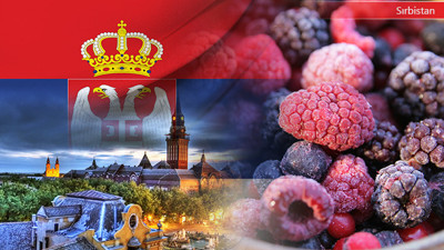 Sırp firma dondurulmuş meyve ithal edecek