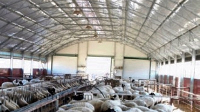 Hobi olarak başladı, çiftlik sahibi oldu