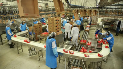 Beyaz et sektörü devlet desteğiyle büyüdü