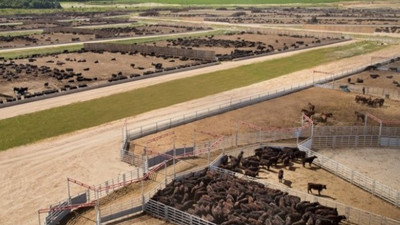 Et ithalatını bitirecek öneri