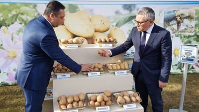 Tescilli 4 yerli patates ihaleyle satışta