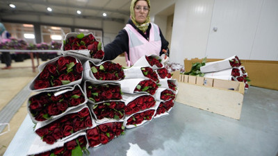 Çiçek ihracatında 2018 hedefi 100 milyon dolar