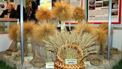 Trakya'da lavanta üretimi için çalışma başlatılacak