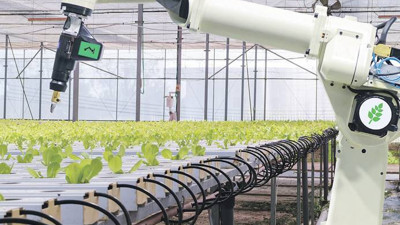 Tarımın geleceği veri toplama ve işlemede