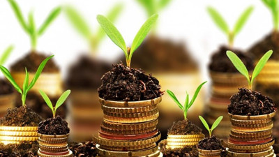 Tarımsal destekler belirlendi