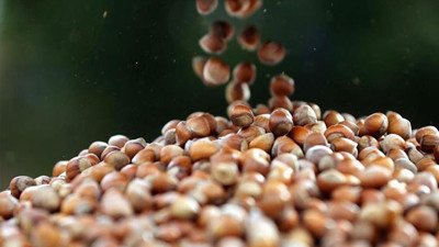 'Türk Fındığı' imajı dünyaya tanıtılacak