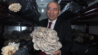 "Ülkemize iyi bir döviz girdisini sağlayacağız"