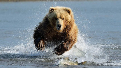 Pay piyasalarında satışa devam