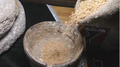 "Ahmet buğdayı" koruma altında