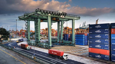 Singapurlu şirketlerin yaptırımları ihlal ettiği iddia edildi