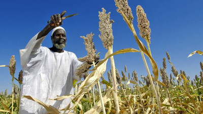 Türkiye ve Sudan'dan tarımsal alanda iş birliği