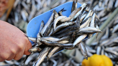 Fiyatlar düştü balık tezgahları alıcıları bekliyor