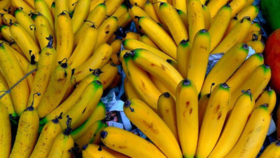 Yüksek fiyat limon üreticisini muza yöneltti
