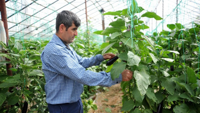 Yağışlar Batı Akdeniz çiftçisini sevindirdi