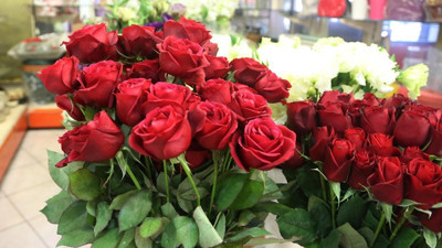 48 ülkenin kadınına 80 milyon dal Türk çiçeği