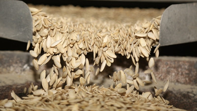 Nevşehir kabak çekirdeğine coğrafi işaret