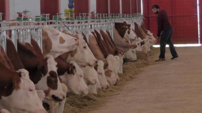 2 milyonluk destek ile modern süt üretim tesisi açtı