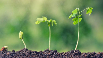 Piyasalara bahar ne zaman gelecek?