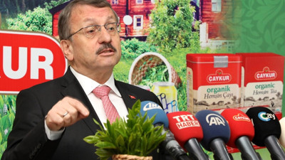 2018 yılı yaş çay alım kampanyası başladı