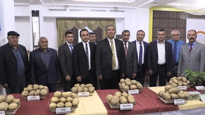 Yerli üç patates tohumunun daha satışı yapıldı