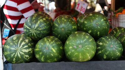 Karpuzda verim arttı fiyatlar düştü