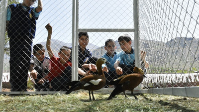 Tarım ve hayvanlarla içe içe eğitim