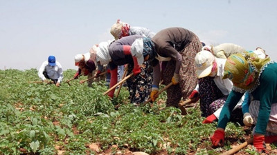 Mevsimlik tarım işçilerine yeni proje